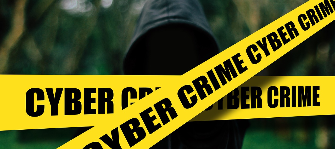 Preventing Cyber Crime with Domain Names